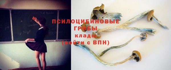 ГАЛЛЮЦИНОГЕННЫЕ ГРИБЫ Нязепетровск